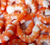 cooked-peeled-shrimp-thumb